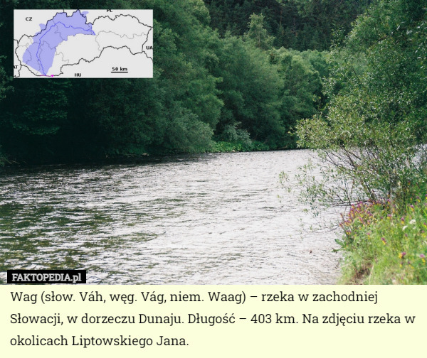 Wag (słow. Váh, węg. Vág, niem. Waag) – rzeka w zachodniej Słowacji, w dorzeczu Dunaju. Długość – 403 km. Na zdjęciu rzeka w okolicach Liptowskiego Jana. 