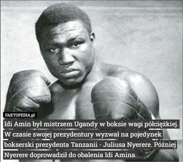 Idi Amin był mistrzem Ugandy w boksie wagi półciężkiej. W czasie swojej prezydentury wyzwał na pojedynek bokserski prezydenta Tanzanii - Juliusa Nyerere. Później Nyerere doprowadził do obalenia Idi Amina. 