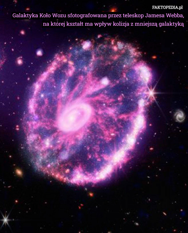 Galaktyka Koło Wozu sfotografowana przez teleskop Jamesa Webba,
 na której kształt ma wpływ kolizja z mniejszą galaktyką 