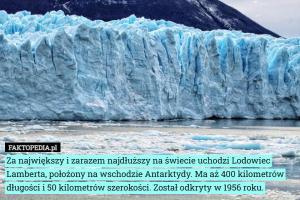 Za największy i zarazem najdłuższy na świecie uchodzi Lodowiec Lamberta, położony na wschodzie Antarktydy. Ma aż 400 kilometrów długości i 50 kilometrów szerokości. Został odkryty w 1956 roku. 