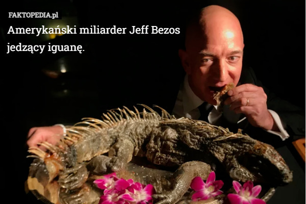 Amerykański miliarder Jeff Bezos
jedzący iguanę. 