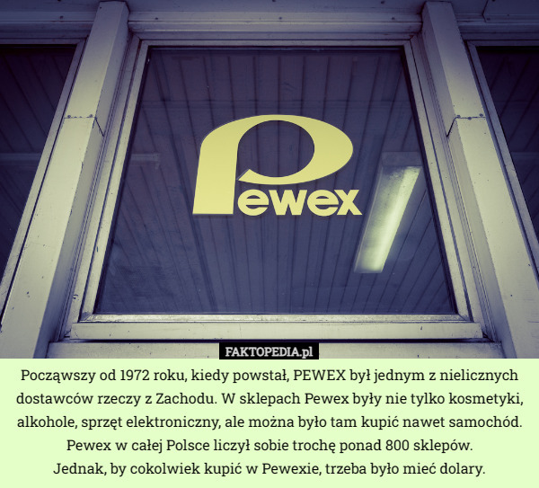 Począwszy od 1972 roku, kiedy powstał, PEWEX był jednym z nielicznych dostawców rzeczy z Zachodu. W sklepach Pewex były nie tylko kosmetyki, alkohole, sprzęt elektroniczny, ale można było tam kupić nawet samochód. Pewex w całej Polsce liczył sobie trochę ponad 800 sklepów.
 Jednak, by cokolwiek kupić w Pewexie, trzeba było mieć dolary. 