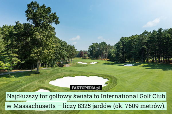 Najdłuższy tor golfowy świata to International Golf Club w Massachusetts – liczy 8325 jardów (ok. 7609 metrów). 