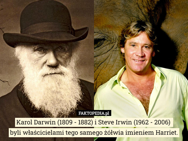 Karol Darwin (1809 - 1882) i Steve Irwin (1962 - 2006) 
byli właścicielami tego samego żółwia imieniem Harriet. 
