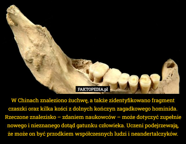 W Chinach znaleziono żuchwę, a także zidentyfikowano fragment czaszki oraz kilka kości z dolnych kończyn zagadkowego hominida. Rzeczone znalezisko – zdaniem naukowców – może dotyczyć zupełnie nowego i nieznanego dotąd gatunku człowieka. Uczeni podejrzewają, że może on być przodkiem współczesnych ludzi i neandertalczyków. 
