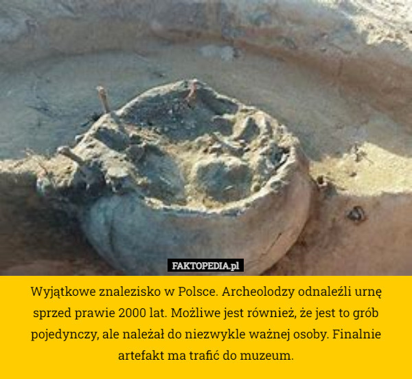 Wyjątkowe znalezisko w Polsce. Archeolodzy odnaleźli urnę sprzed prawie 2000 lat. Możliwe jest również, że jest to grób pojedynczy, ale należał do niezwykle ważnej osoby. Finalnie artefakt ma trafić do muzeum. 
