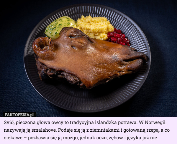 Svið, pieczona głowa owcy to tradycyjna islandzka potrawa. W Norwegii nazywają ją smalahove. Podaje się ją z ziemniakami i gotowaną rzepą, a co ciekawe – pozbawia się ją mózgu, jednak oczu, zębów i języka już nie. 