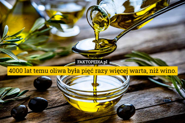4000 lat temu oliwa była pięć razy więcej warta, niż wino. 