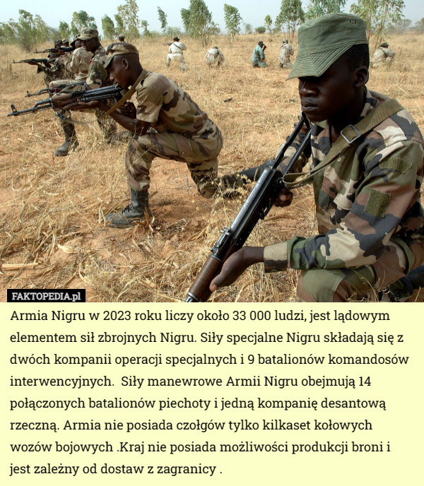 Armia Nigru w 2023 roku liczy około 33 000 ludzi, jest lądowym elementem sił zbrojnych Nigru. Siły specjalne Nigru składają się z dwóch kompanii operacji specjalnych i 9 batalionów komandosów interwencyjnych.  Siły manewrowe Armii Nigru obejmują 14 połączonych batalionów piechoty i jedną kompanię desantową rzeczną. Armia nie posiada czołgów tylko kilkaset kołowych wozów bojowych .Kraj nie posiada możliwości produkcji broni i jest zależny od dostaw z zagranicy . 