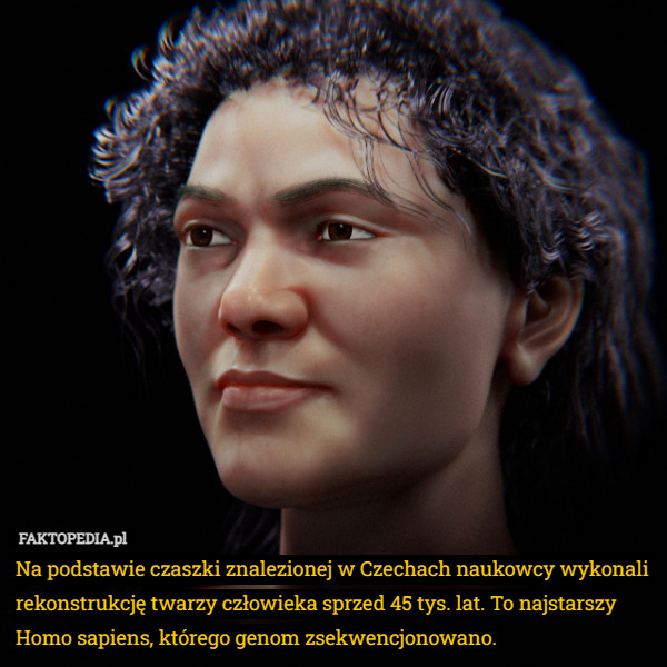 Na podstawie czaszki znalezionej w Czechach naukowcy wykonali rekonstrukcję twarzy człowieka sprzed 45 tys. lat. To najstarszy Homo sapiens, którego genom zsekwencjonowano. 