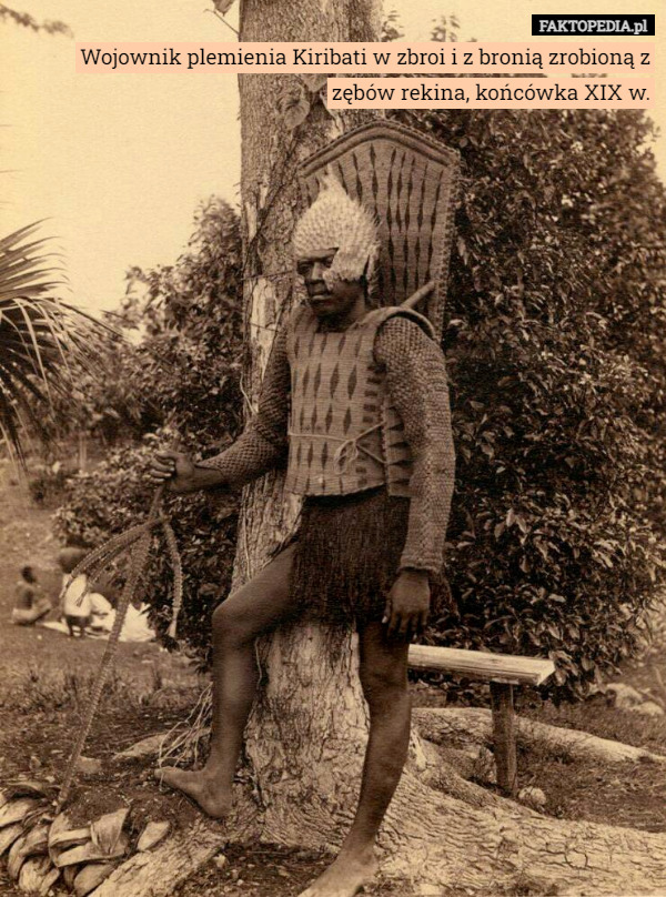 Wojownik plemienia Kiribati w zbroi i z bronią zrobioną z zębów rekina, końcówka XIX w. 