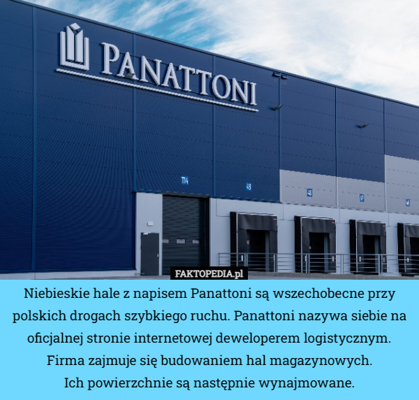Niebieskie hale z napisem Panattoni są wszechobecne przy polskich drogach szybkiego ruchu. Panattoni nazywa siebie na oficjalnej stronie internetowej deweloperem logistycznym. Firma zajmuje się budowaniem hal magazynowych.
 Ich powierzchnie są następnie wynajmowane. 