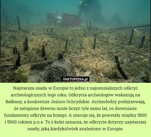 Najstarsza osada w Europie to jedno z najcenniejszych odkryć archeologicznych tego roku. Odkrycia archeologów wskazują na Bałkany, a konkretnie Jezioro Ochrydzkie. Archeolodzy podejrzewają, że zatopione drewno może liczyć tyle samo lat, co drewniane fundamenty odkryte na brzegu. A szacuje się, że powstały między 5800 i 5900 rokiem p.n.e. To z kolei oznacza, że odkrycie dotyczy najstarszej osady, jaką kiedykolwiek znaleziono w Europie. 