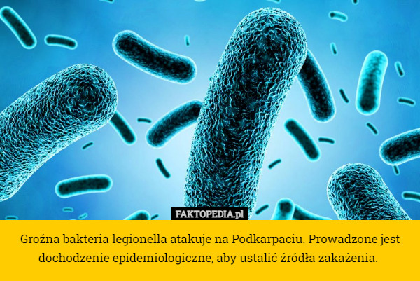 Groźna bakteria legionella atakuje na Podkarpaciu. Prowadzone jest dochodzenie epidemiologiczne, aby ustalić źródła zakażenia. 
