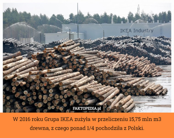 W 2016 roku Grupa IKEA zużyła w przeliczeniu 15,75 mln m3 drewna, z czego ponad 1/4 pochodziła z Polski. 