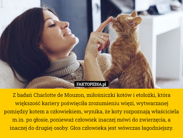 Z badań Charlotte de Mouzon, miłośniczki kotów i etolożki, która większość kariery poświęciła zrozumieniu więzi, wytwarzanej pomiędzy kotem a człowiekiem, wynika, że koty rozpoznają właściciela m.in. po głosie, ponieważ człowiek inaczej mówi do zwierzęcia, a inaczej do drugiej osoby. Głos człowieka jest wówczas łagodniejszy. 