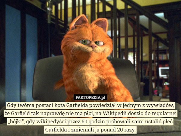 Gdy twórca postaci kota Garfielda powiedział w jednym z wywiadów, że Garfield tak naprawdę nie ma płci, na Wikipedii doszło do regularnej „bójki”, gdy wikipedyści przez 60 godzin próbowali sami ustalić płeć Garfielda i zmieniali ją ponad 20 razy. 