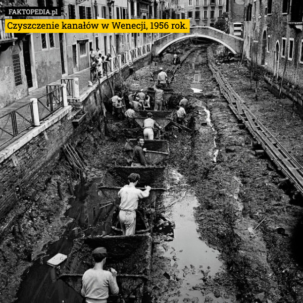 Czyszczenie kanałów w Wenecji, 1956 rok. 