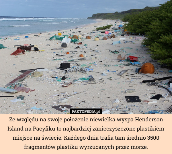 Ze względu na swoje położenie niewielka wyspa Henderson Island na Pacyfiku to najbardziej zanieczyszczone plastikiem miejsce na świecie. Każdego dnia trafia tam średnio 3500 fragmentów plastiku wyrzucanych przez morze. 