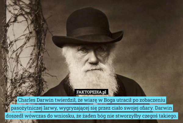 Charles Darwin twierdził, że wiarę w Boga utracił po zobaczeniu pasożytniczej larwy, wygryzającej się przez ciało swojej ofiary. Darwin doszedł wówczas do wniosku, że żaden bóg nie stworzyłby czegoś takiego. 