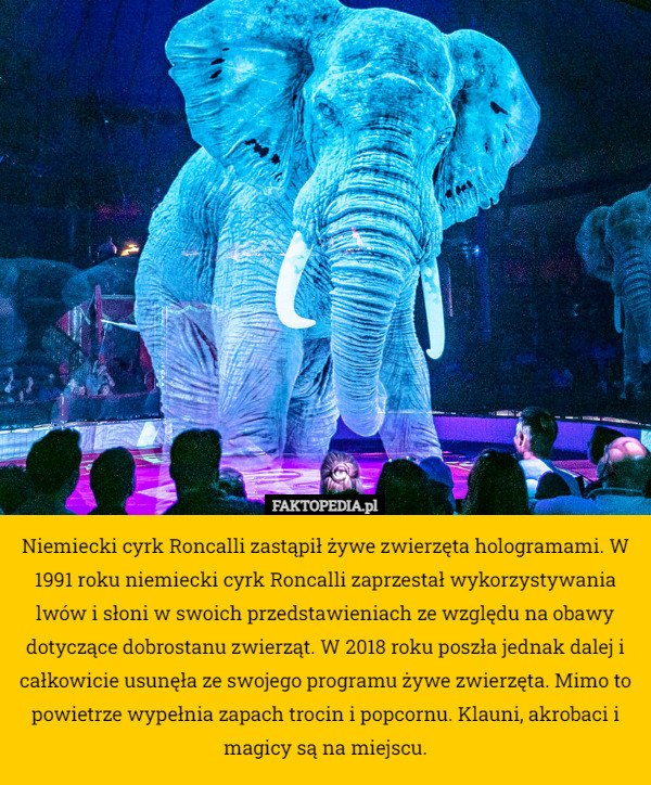 Niemiecki cyrk Roncalli zastąpił żywe zwierzęta hologramami. W 1991 roku niemiecki cyrk Roncalli zaprzestał wykorzystywania lwów i słoni w swoich przedstawieniach ze względu na obawy dotyczące dobrostanu zwierząt. W 2018 roku poszła jednak dalej i całkowicie usunęła ze swojego programu żywe zwierzęta. Mimo to powietrze wypełnia zapach trocin i popcornu. Klauni, akrobaci i magicy są na miejscu. 