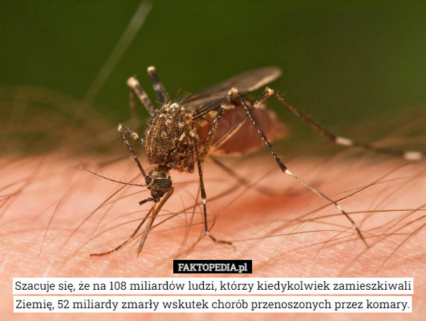 Szacuje się, że na 108 miliardów ludzi, którzy kiedykolwiek zamieszkiwali Ziemię, 52 miliardy zmarły wskutek chorób przenoszonych przez komary. 