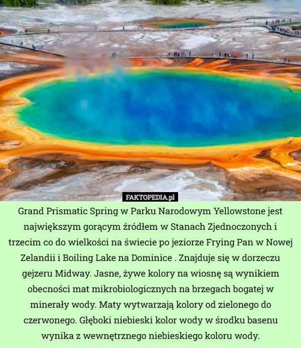 Grand Prismatic Spring w Parku Narodowym Yellowstone jest największym gorącym źródłem w Stanach Zjednoczonych i trzecim co do wielkości na świecie po jeziorze Frying Pan w Nowej Zelandii i Boiling Lake na Dominice . Znajduje się w dorzeczu gejzeru Midway. Jasne, żywe kolory na wiosnę są wynikiem obecności mat mikrobiologicznych na brzegach bogatej w minerały wody. Maty wytwarzają kolory od zielonego do czerwonego. Głęboki niebieski kolor wody w środku basenu wynika z wewnętrznego niebieskiego koloru wody. 
