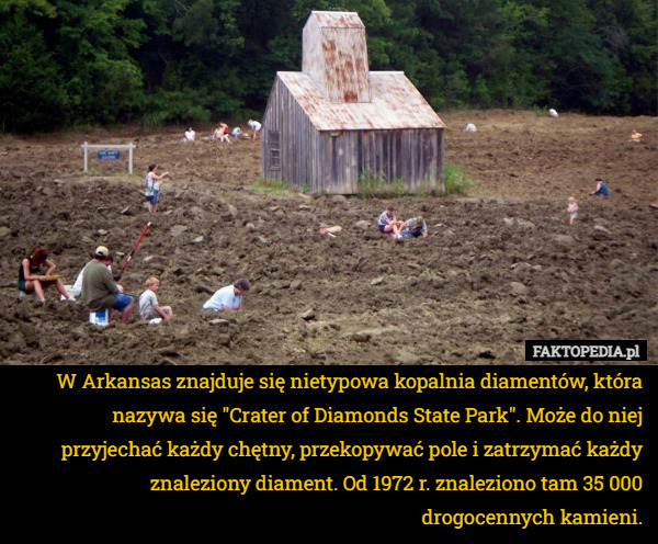 W Arkansas znajduje się nietypowa kopalnia diamentów, która nazywa się "Crater of Diamonds State Park". Może do niej przyjechać każdy chętny, przekopywać pole i zatrzymać każdy znaleziony diament. Od 1972 r. znaleziono tam 35 000 drogocennych kamieni. 