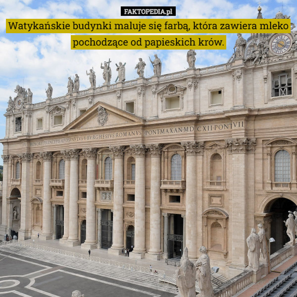 Watykańskie budynki maluje się farbą, która zawiera mleko pochodzące od papieskich krów. 