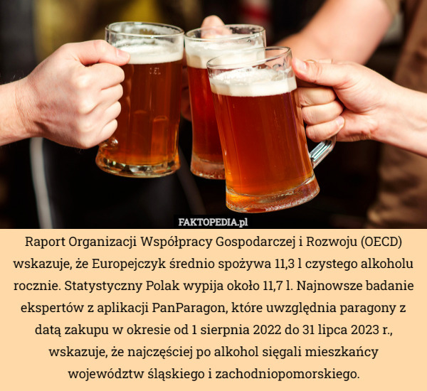 Raport Organizacji Współpracy Gospodarczej i Rozwoju (OECD) wskazuje, że Europejczyk średnio spożywa 11,3 l czystego alkoholu rocznie. Statystyczny Polak wypija około 11,7 l. Najnowsze badanie ekspertów z aplikacji PanParagon, które uwzględnia paragony z datą zakupu w okresie od 1 sierpnia 2022 do 31 lipca 2023 r., wskazuje, że najczęściej po alkohol sięgali mieszkańcy województw śląskiego i zachodniopomorskiego. 