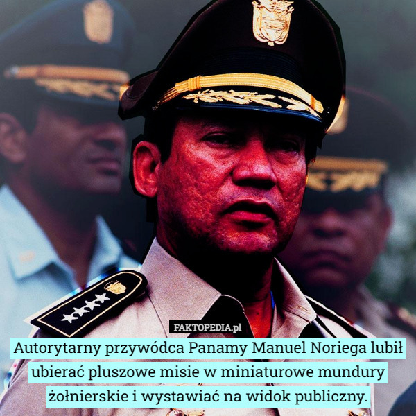 Autorytarny przywódca Panamy Manuel Noriega lubił ubierać pluszowe misie w miniaturowe mundury żołnierskie i wystawiać na widok publiczny. 