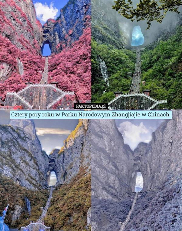 Cztery pory roku w Parku Narodowym Zhangjiajie w Chinach. 