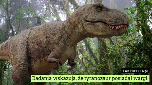 Badania wskazują, że tyranozaur posiadał wargi. 