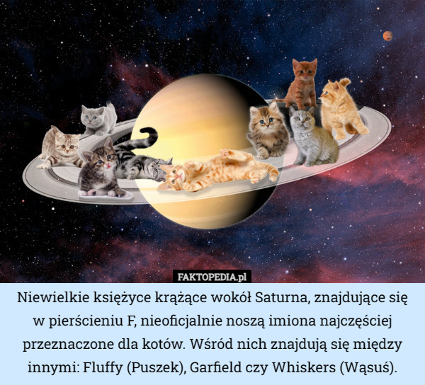 Niewielkie księżyce krążące wokół Saturna, znajdujące się w pierścieniu F, nieoficjalnie noszą imiona najczęściej przeznaczone dla kotów. Wśród nich znajdują się między innymi: Fluffy (Puszek), Garfield czy Whiskers (Wąsuś). 