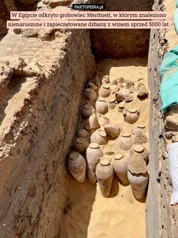 W Egipcie odkryto grobowiec Meritneit, w którym znaleziono nienaruszone i zapieczętowane dzbany z winem sprzed 5000 lat. 