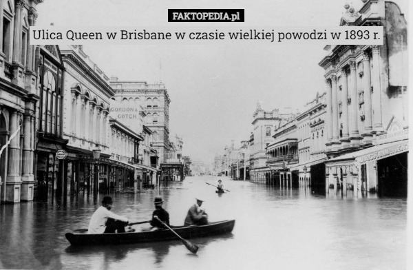 Ulica Queen w Brisbane w czasie wielkiej powodzi w 1893 r. 
