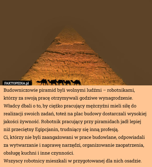 Budowniczowie piramid byli wolnymi ludźmi – robotnikami, którzy za swoją pracę otrzymywali godziwe wynagrodzenie. Władcy dbali o to, by ciężko pracujący mężczyźni mieli siłę do realizacji swoich zadań, toteż na plac budowy dostarczali wysokiej jakości żywność. Robotnik pracujący przy piramidach jadł lepiej niż przeciętny Egipcjanin, trudniący się inną profesją.
Ci, którzy nie byli zaangażowani w prace budowlane, odpowiadali za wytwarzanie i naprawę narzędzi, organizowanie zaopatrzenia, obsługę kuchni i inne czynności.
Wszyscy robotnicy mieszkali w przygotowanej dla nich osadzie. 