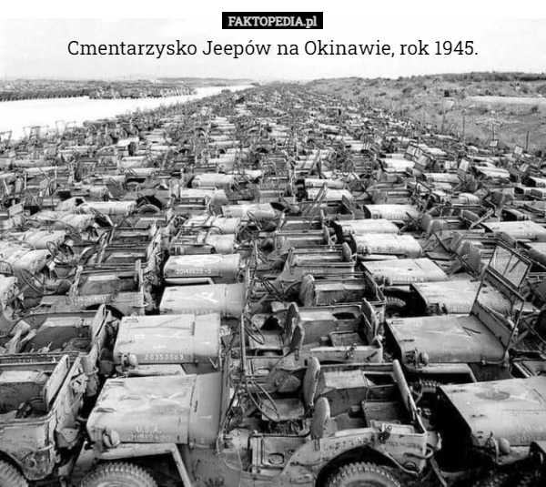 Cmentarzysko Jeepów na Okinawie, rok 1945. 
