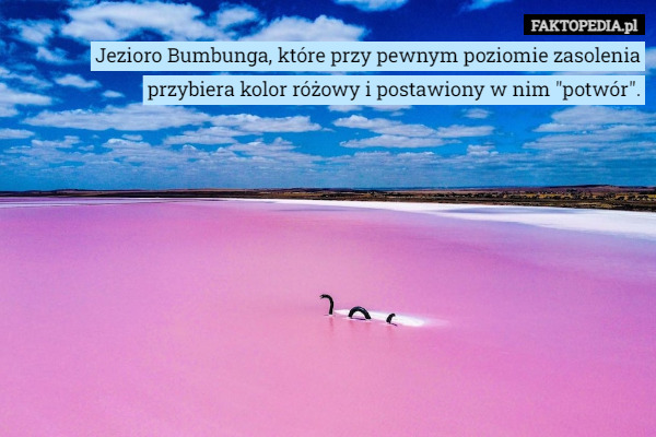 Jezioro Bumbunga, które przy pewnym poziomie zasolenia przybiera kolor różowy i postawiony w nim "potwór". 