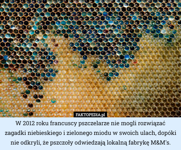 W 2012 roku francuscy pszczelarze nie mogli rozwiązać zagadki niebieskiego i zielonego miodu w swoich ulach, dopóki nie odkryli, że pszczoły odwiedzają lokalną fabrykę M&M's. 
