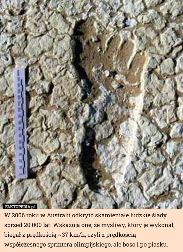 W 2006 roku w Australii odkryto skamieniałe ludzkie ślady sprzed 20 000 lat. Wskazują one, że myśliwy, który je wykonał, biegał z prędkością ~37 km/h, czyli z prędkością współczesnego sprintera olimpijskiego, ale boso i po piasku. 