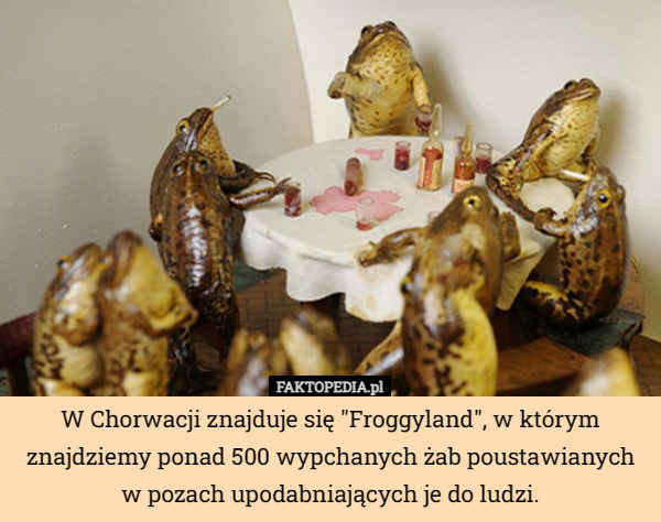 W Chorwacji znajduje się "Froggyland", w którym znajdziemy ponad 500 wypchanych żab poustawianych w pozach upodabniających je do ludzi. 