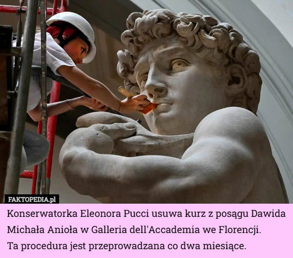 Konserwatorka Eleonora Pucci usuwa kurz z posągu Dawida Michała Anioła w Galleria dell'Accademia we Florencji.
 Ta procedura jest przeprowadzana co dwa miesiące. 