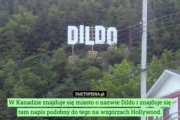 W Kanadzie znajduje się miasto o nazwie Dildo i znajduje się tam napis podobny do tego na wzgórzach Hollywood. 