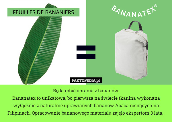 Będą robić ubrania z bananów.
Bananatex to unikatowa, bo pierwsza na świecie tkanina wykonana wyłącznie z naturalnie uprawianych bananów Abacá rosnących na Filipinach. Opracowanie bananowego materiału zajęło ekspertom 3 lata. 