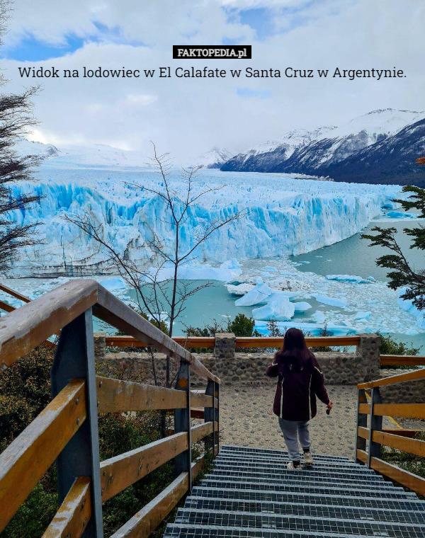 Widok na lodowiec w El Calafate w Santa Cruz w Argentynie. 