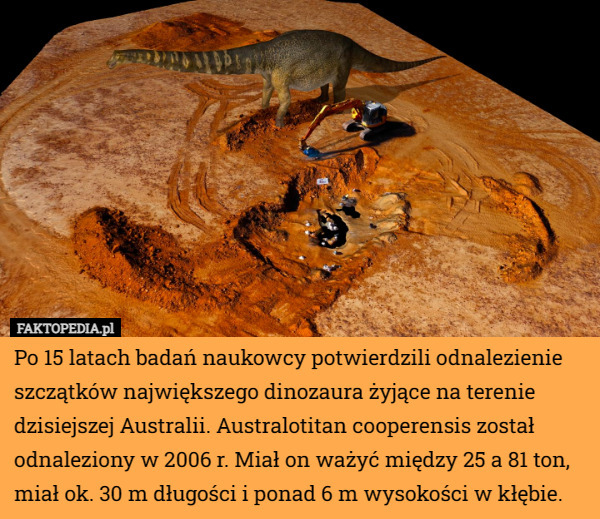 Po 15 latach badań naukowcy potwierdzili odnalezienie szczątków największego dinozaura żyjące na terenie dzisiejszej Australii. Australotitan cooperensis został odnaleziony w 2006 r. Miał on ważyć między 25 a 81 ton, miał ok. 30 m długości i ponad 6 m wysokości w kłębie. 