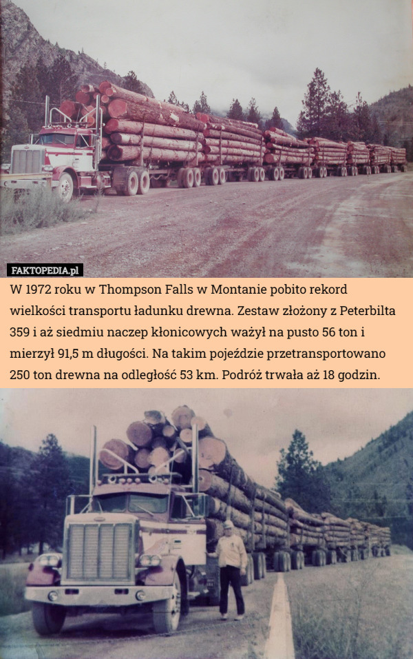 W 1972 roku w Thompson Falls w Montanie pobito rekord wielkości transportu ładunku drewna. Zestaw złożony z Peterbilta 359 i aż siedmiu naczep kłonicowych ważył na pusto 56 ton i mierzył 91,5 m długości. Na takim pojeździe przetransportowano 250 ton drewna na odległość 53 km. Podróż trwała aż 18 godzin. 