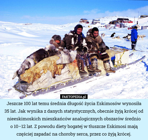 Jeszcze 100 lat temu średnia długość życia Eskimosów wynosiła
 35 lat. Jak wynika z danych statystycznych, obecnie żyją krócej od nieeskimoskich mieszkańców analogicznych obszarów średnio
 o 10–12 lat. Z powodu diety bogatej w tłuszcze Eskimosi mają częściej zapadać na choroby serca, przez co żyją krócej. 