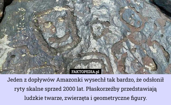 Jeden z dopływów Amazonki wysechł tak bardzo, że odsłonił ryty skalne sprzed 2000 lat. Płaskorzeźby przedstawiają
 ludzkie twarze, zwierzęta i geometryczne figury. 
